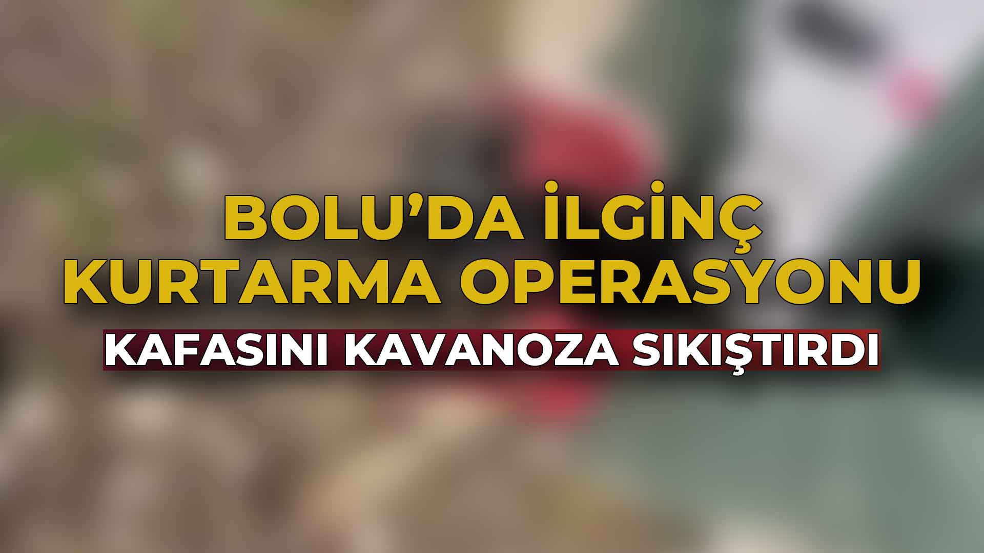 Bolu'da İlginç Kurtarma OperasyonuC