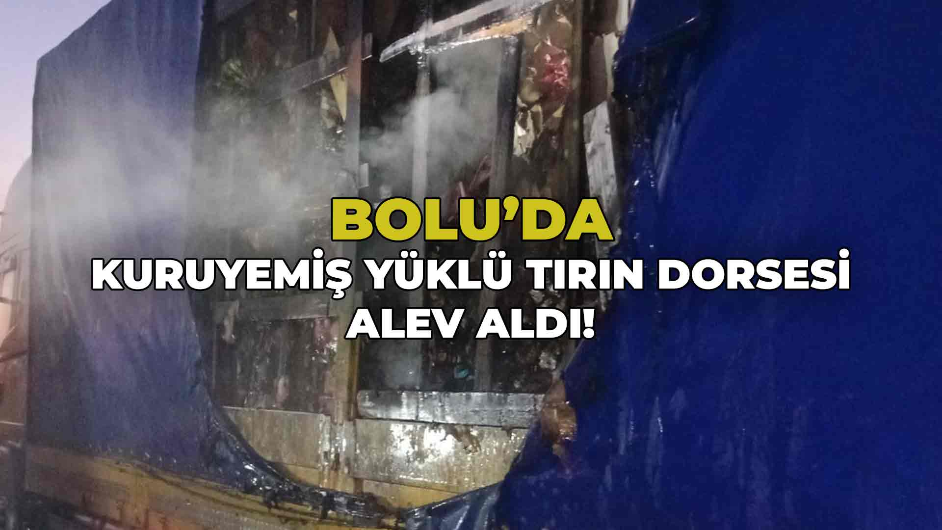 Bolu'da Kuruyemiş Yüklü Tırın Dorsesi Alev Aldı
