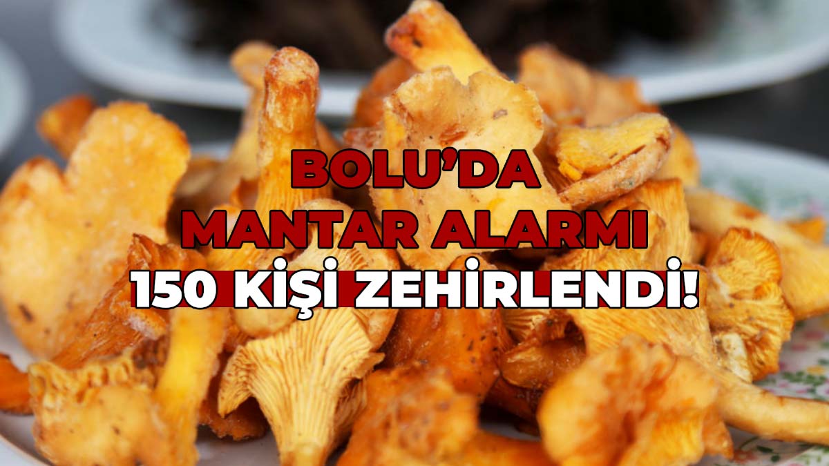 Bolu İl Sağlık Müdürlüğü, 1 Kasım 2024 ile 19 Kasım 2025 tarihleri arasında yaklaşık 150 kişinin “mantarın toksik etkisi” nedeniyle sağlık kuruluşlarına başvurduğunu açıkladı. Bu kişilerden 50’sinin hastanede yatarak tedavi gördüğü belirtildi.