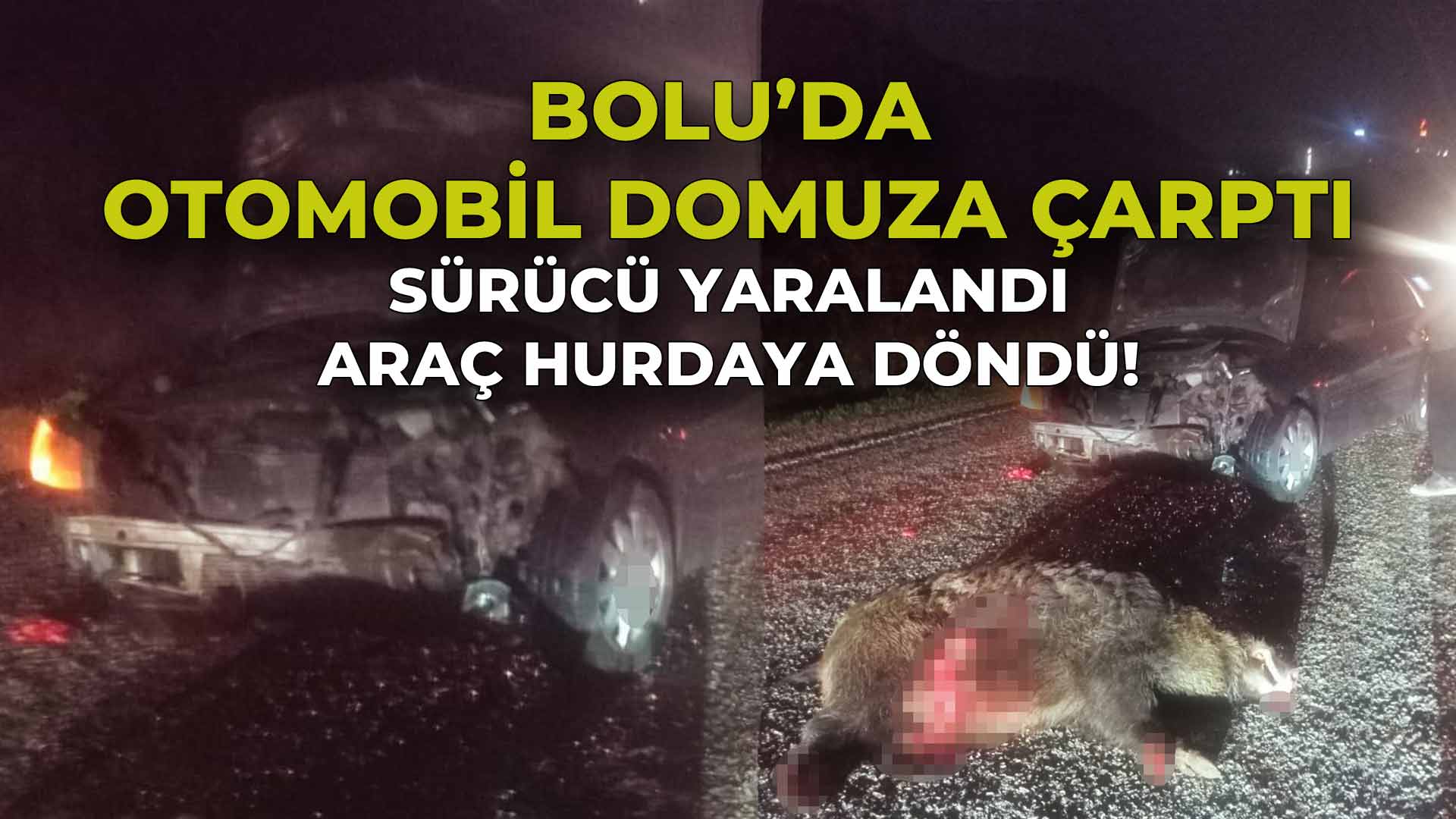 Bolu’da Otomobil Domuza Çarptı Sürücü Yaralandı
