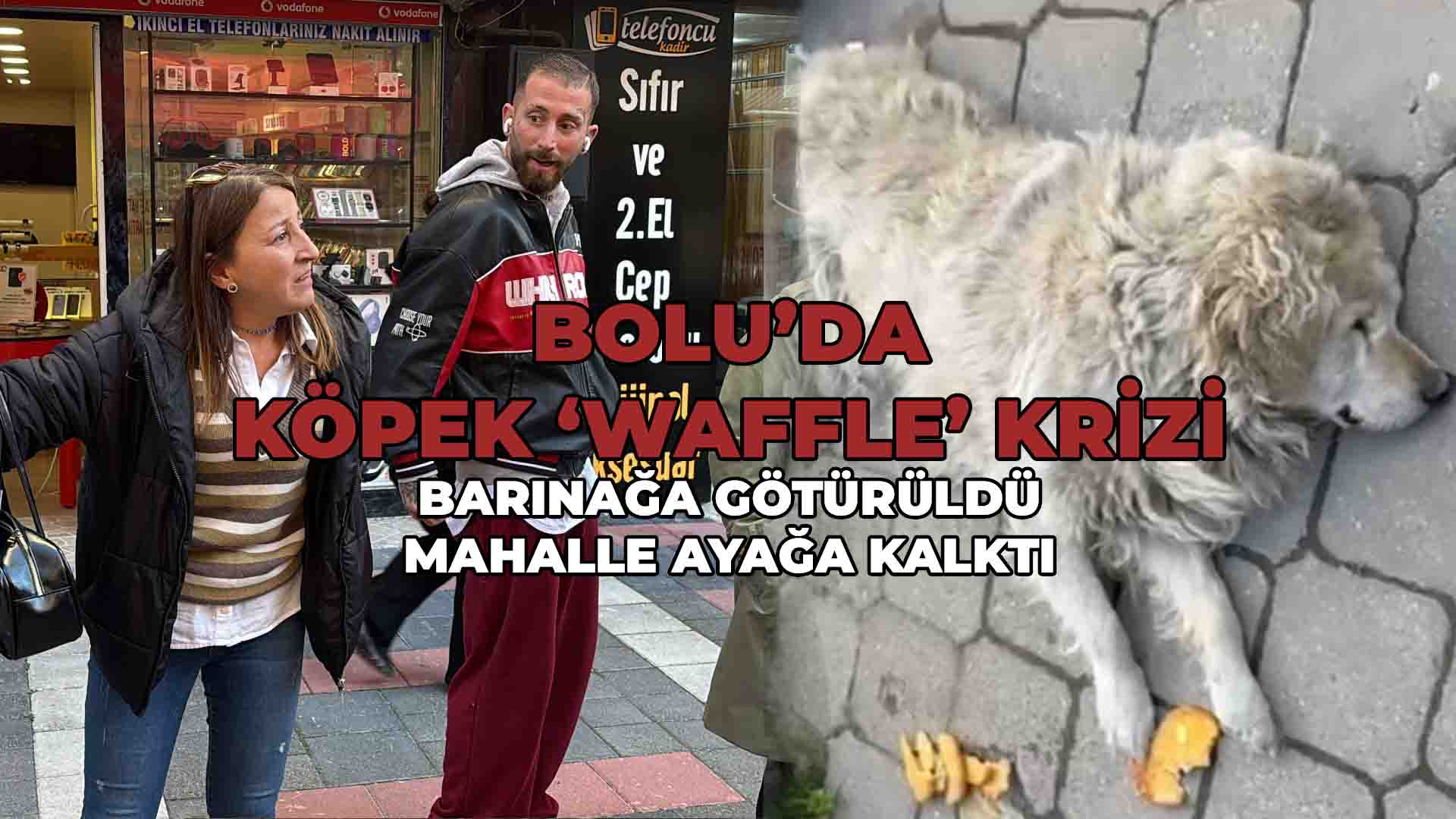 Bolu'da Waffle Krizi