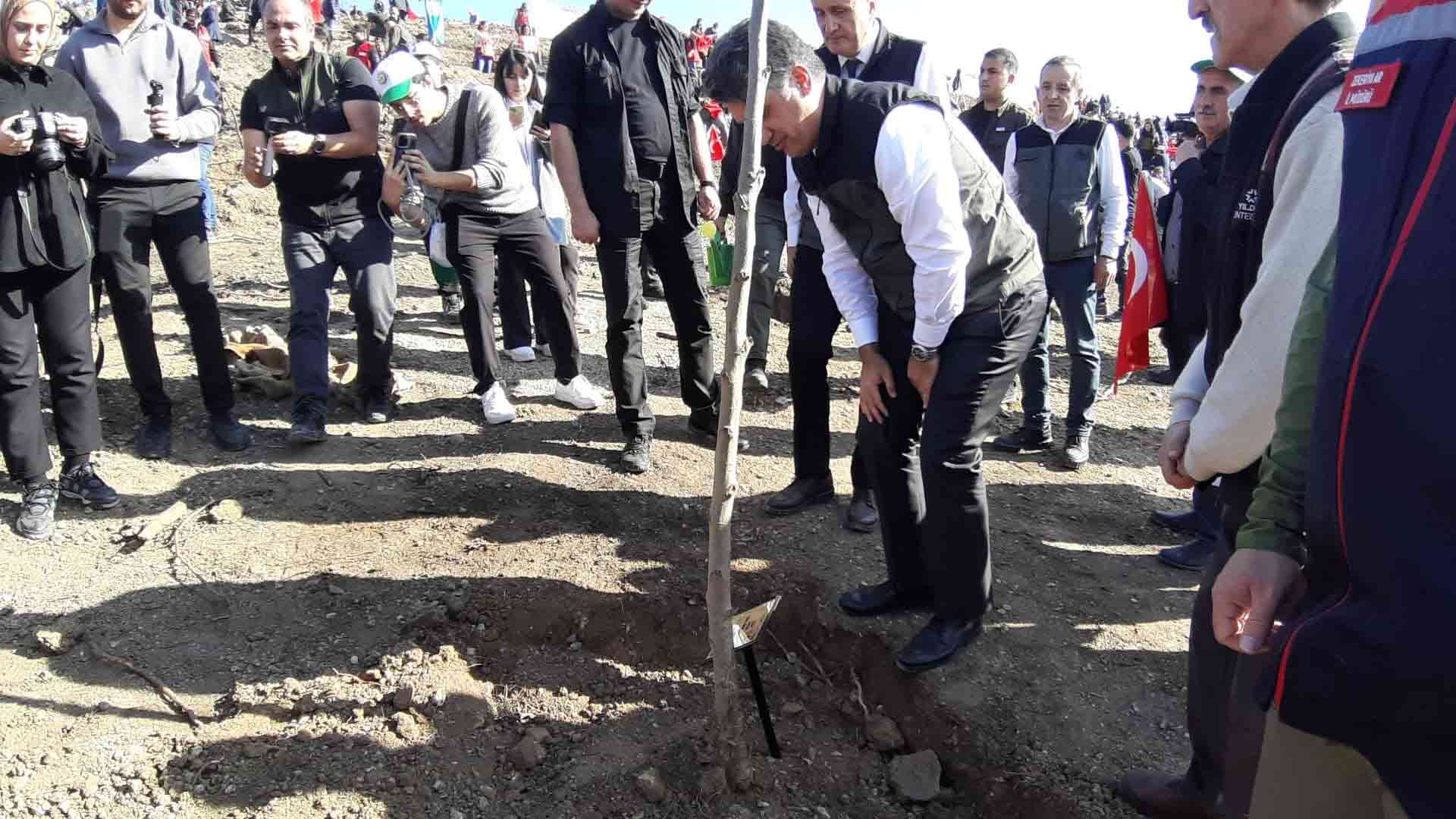 Bolu’da Yanan Ormanlık Alan Fidanlarla Yeniden Hayat Buldu