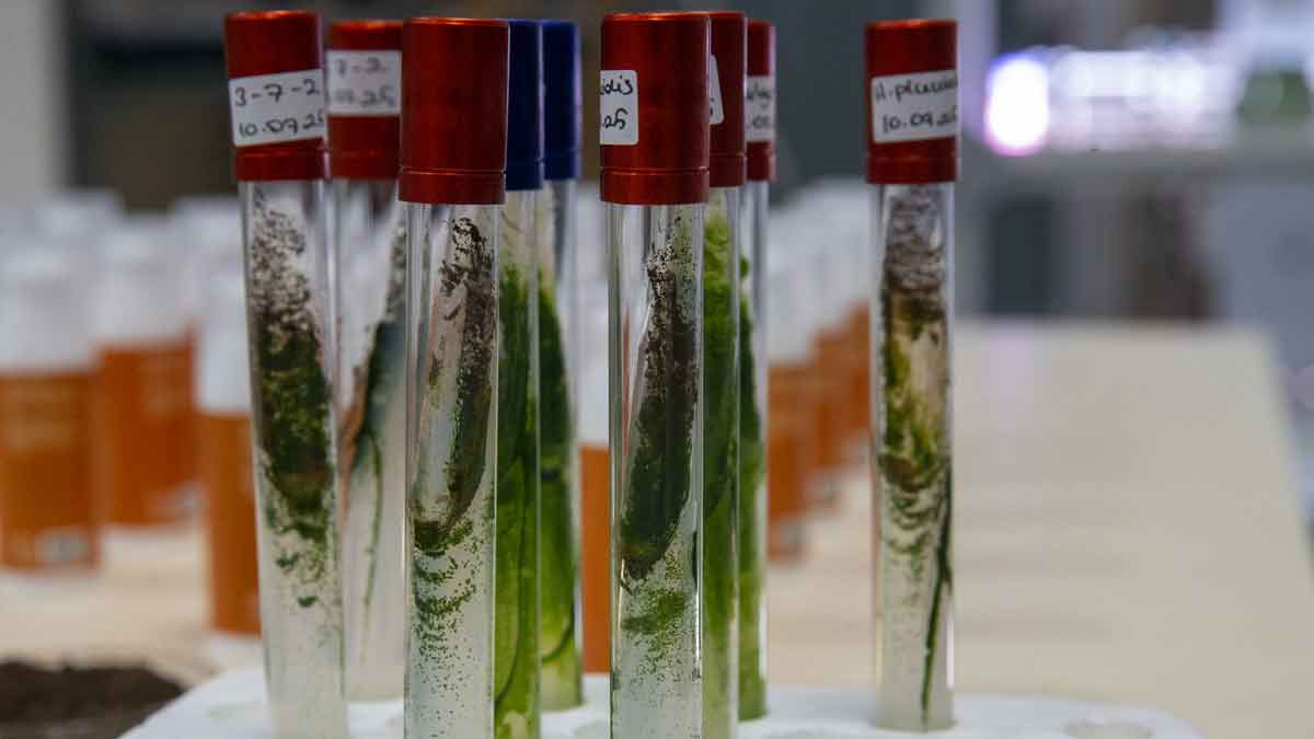 Bolu’dan Küresel Kozmetiğe 11