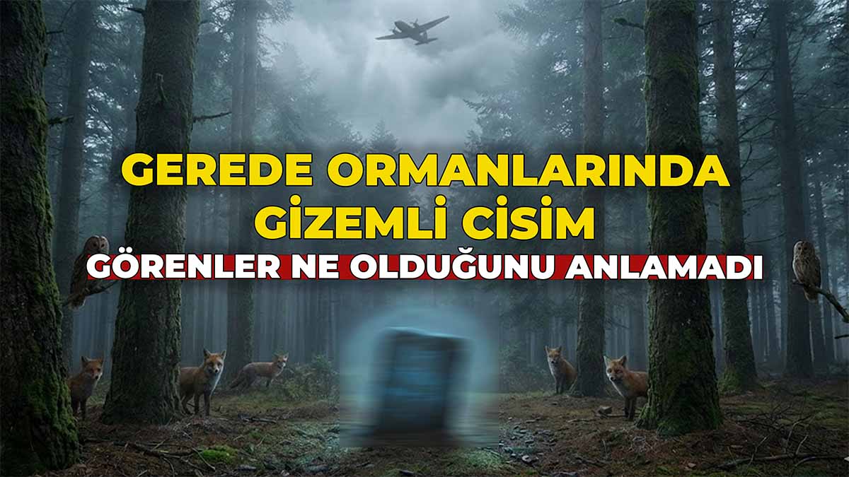 Gerede Ormanlarında Gizemli Cisim