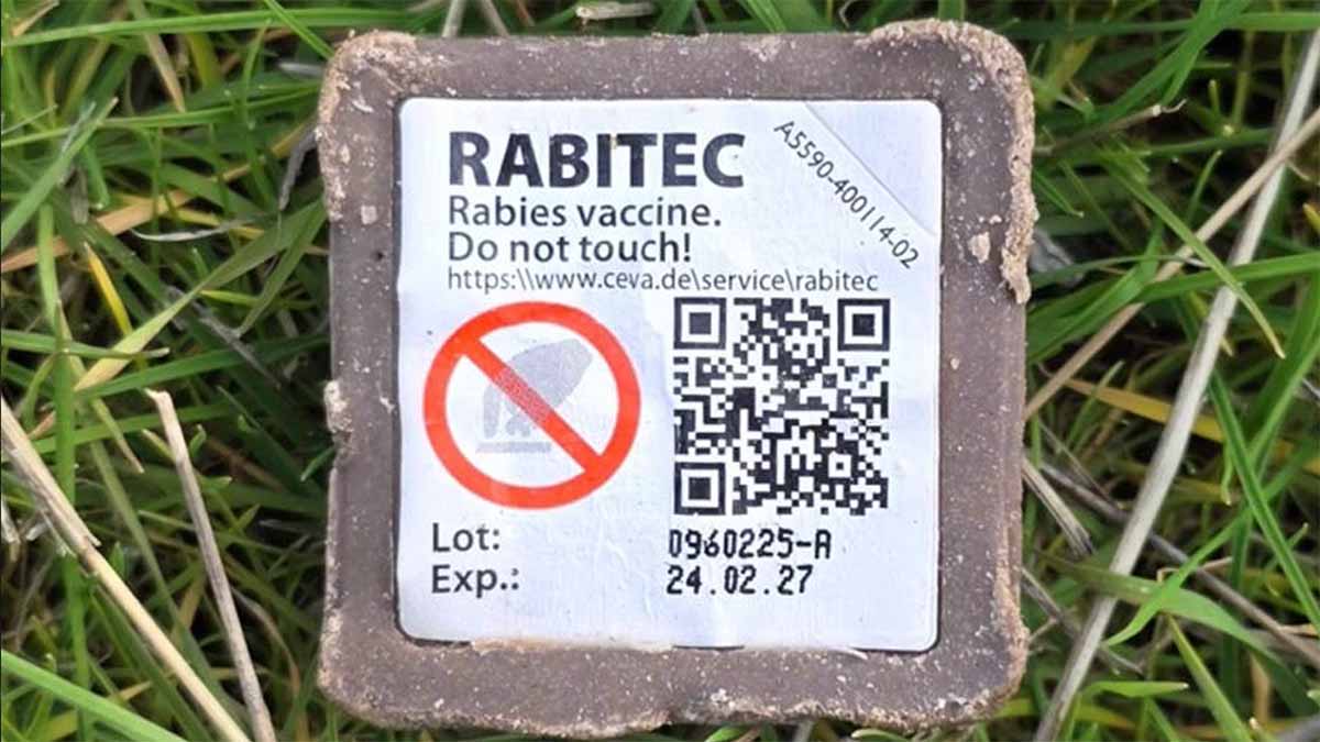 Gerede Ormanlarında Gizemli Cisim2