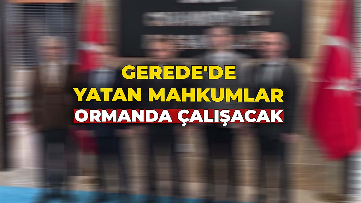 Gerede'de Yatan Mahkumlar Ormanda Çalışacak2