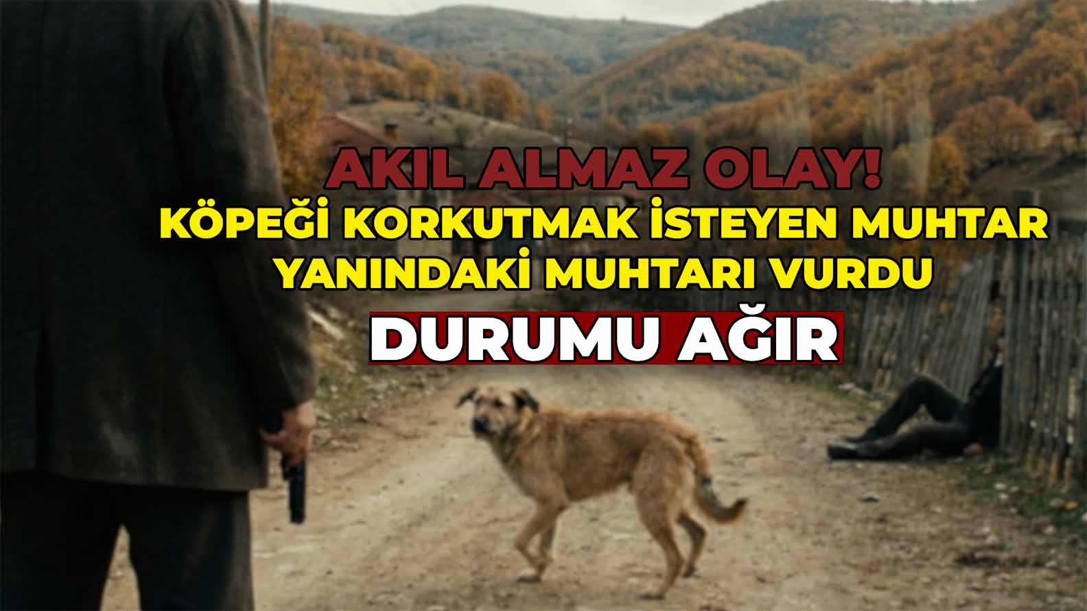 Köpeği Korkutmak İsteyen Muhtar