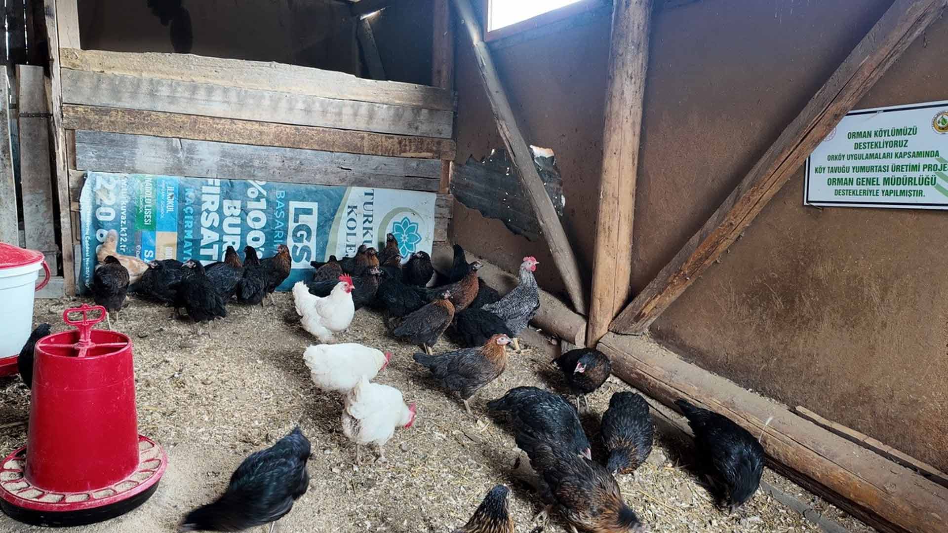 Köyde Yaşayanlara 2 Milyon Lira Devlet Desteği2