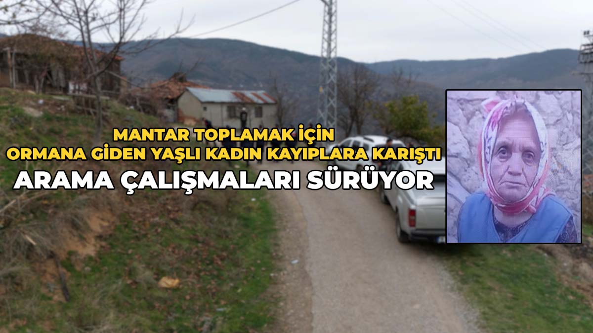 Mantar Toplamak İçin Ormana Giden Yaşlı Kadın Kayıplara Karıştı