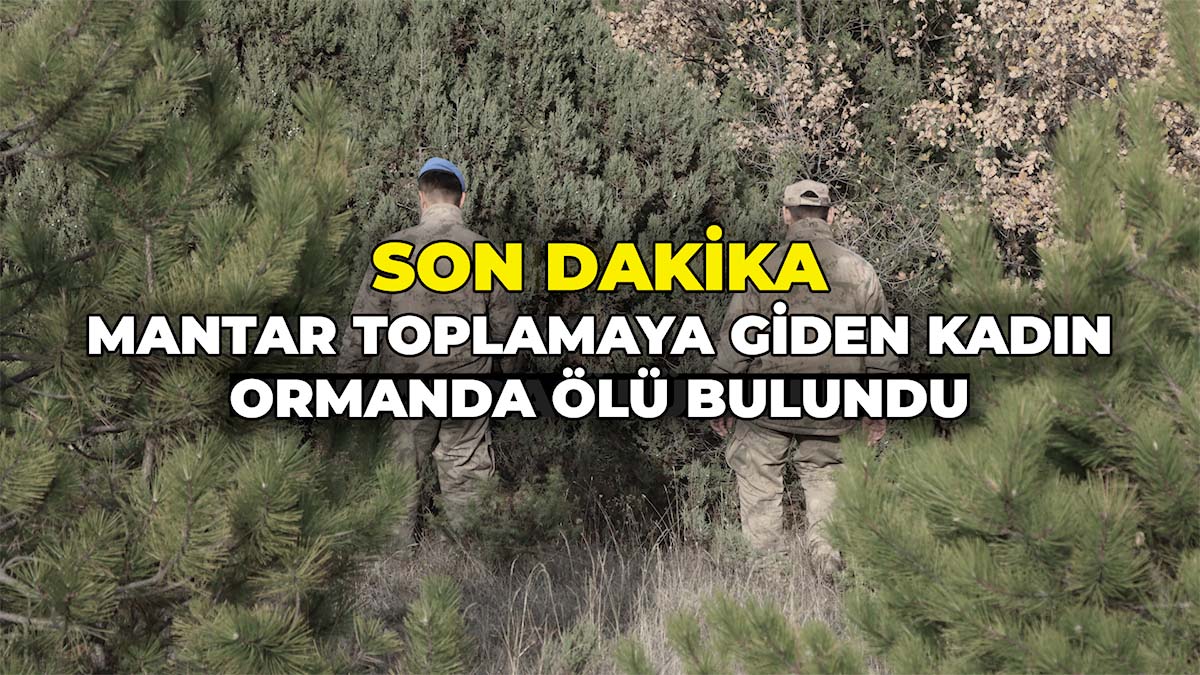 Mantar Toplamaya Giden Kadın Ormanda Ölü Bulundu
