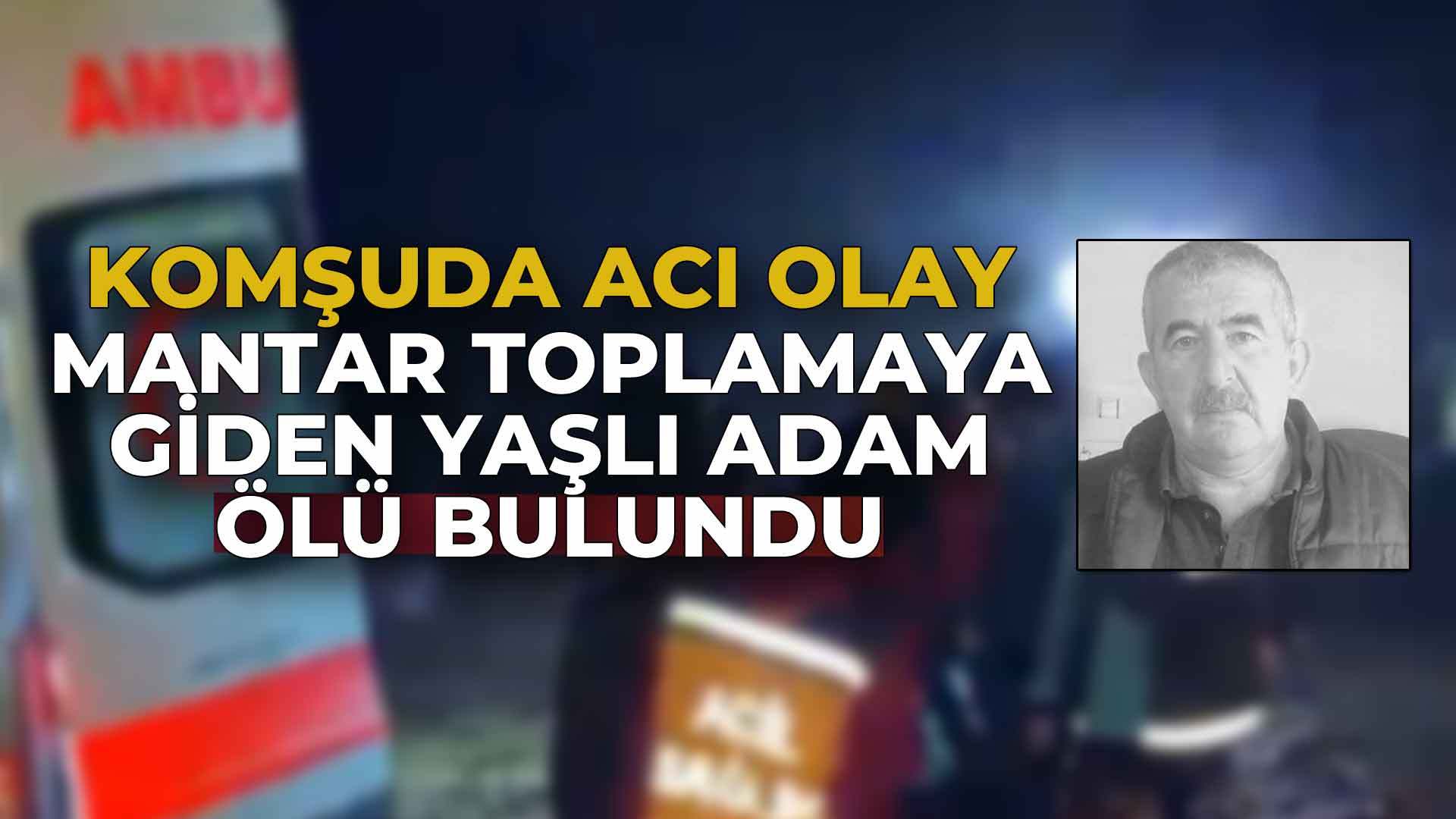 Mantar Toplamaya Giden Yaşlı Adam Ölü Bulundu22
