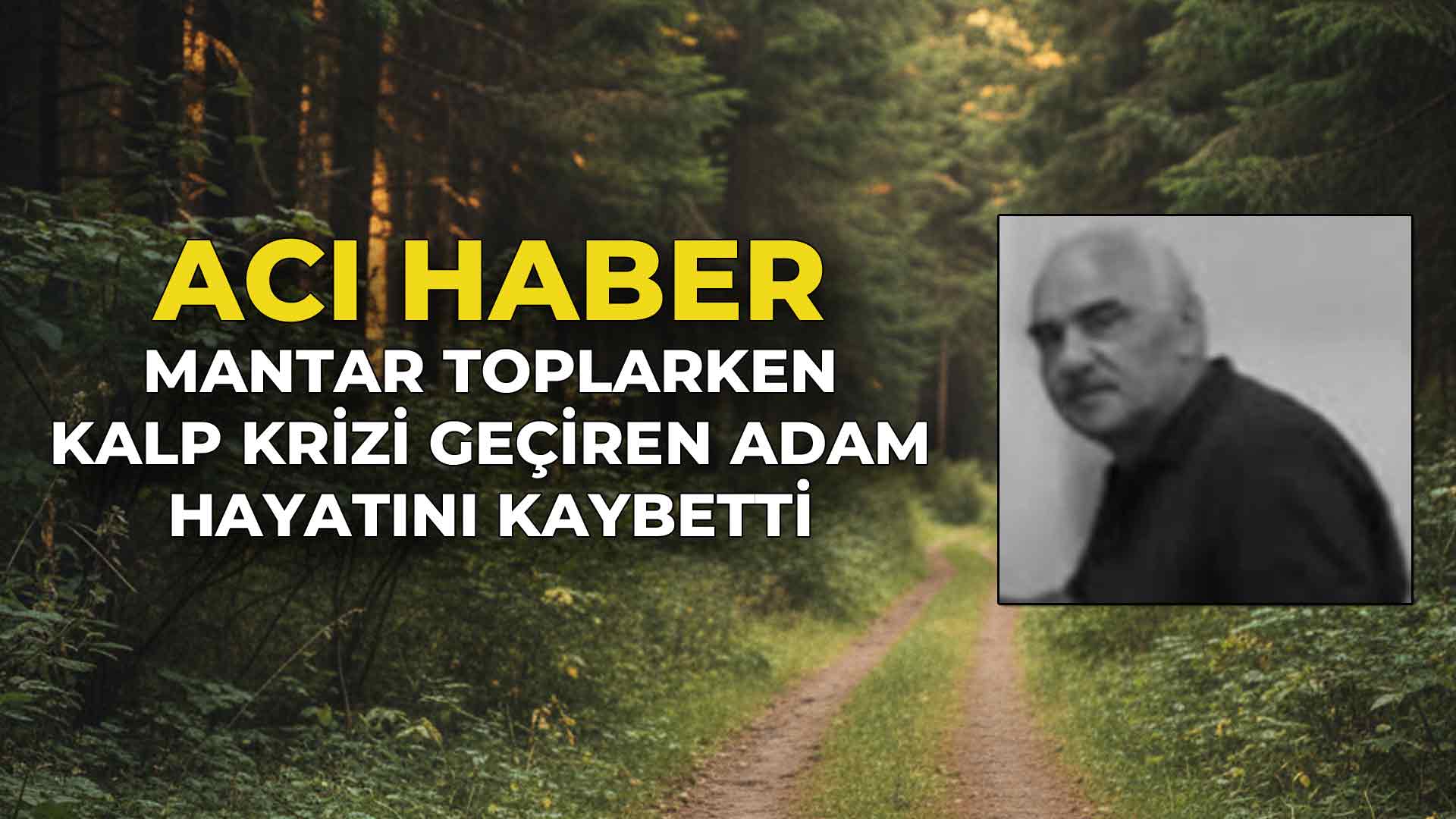 Mantar Toplarken Kalp Krizi Geçiren Adam Hayatını Kaybetti
