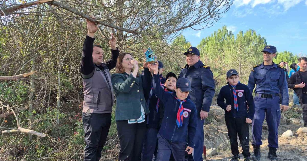 bartinda 3 bin 500 fidan toprakla bulustu Xq3NxBxb.jpg