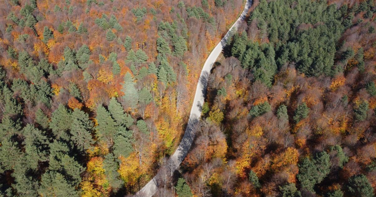 bilecik pazaryerinde doganin essiz guzelligiyle ortaya cikiyor sbcBBBmi.jpg