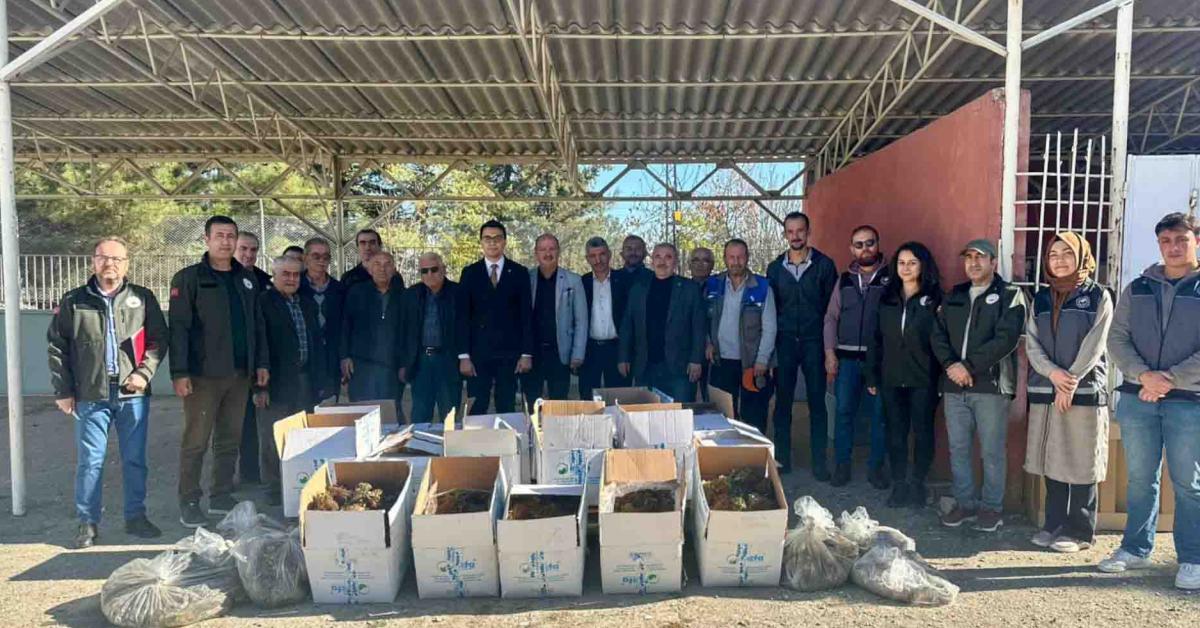 bilecikte 42 bin cilek fidesi dagitildi Sgb1dENY.jpg