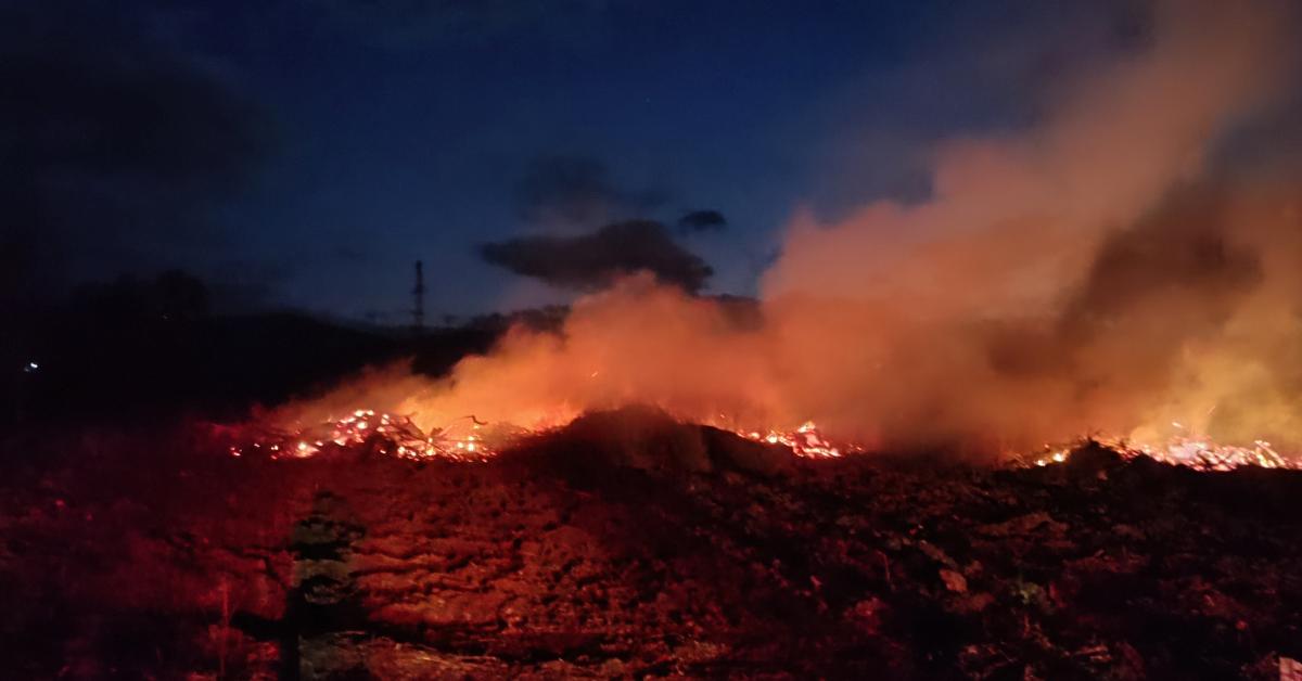 bilecikte ciftlikte cikan yangin panik yaratti n3mqvkDz.jpg