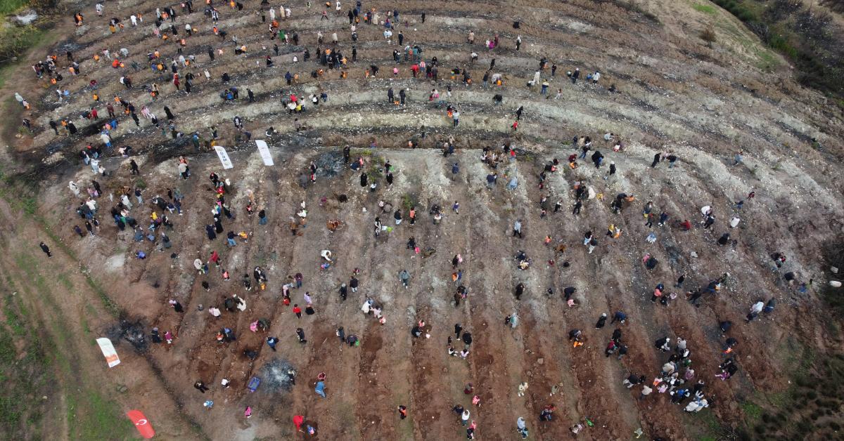 bilecikte minikler ormanlari yeniden yeserten fidanlar dikiyor 2RG7vIbn.jpg