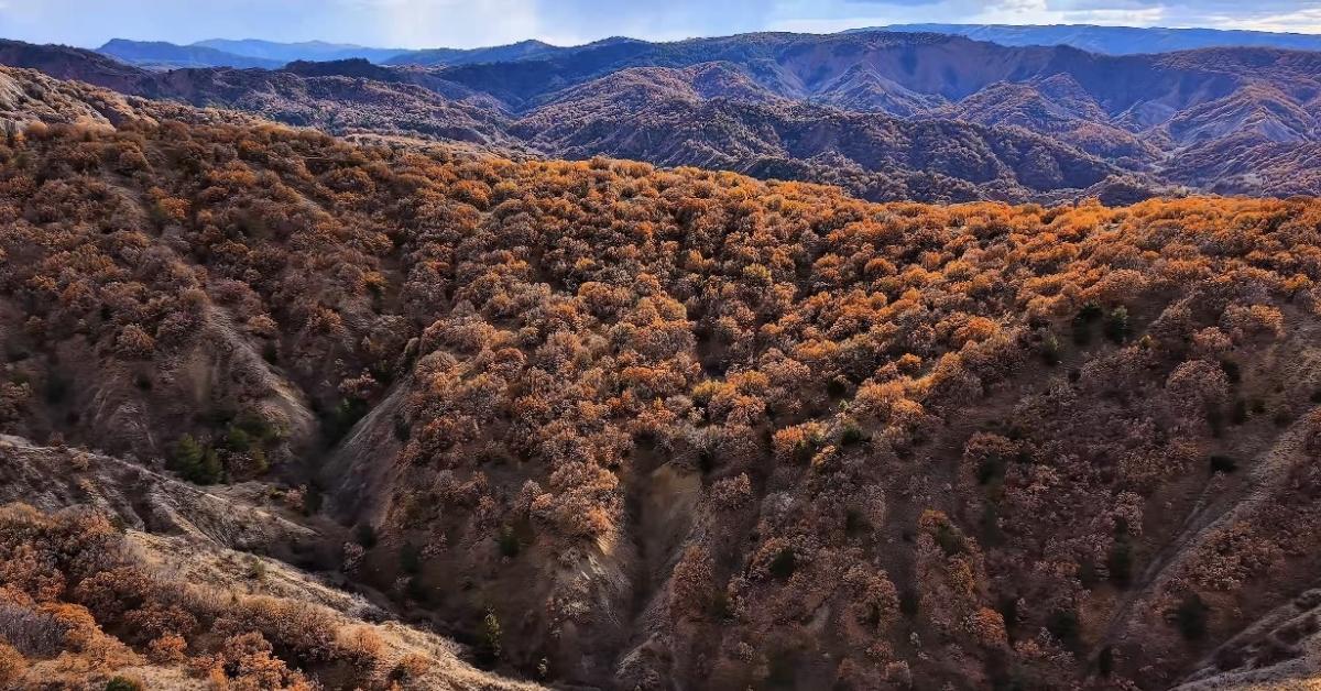 cankiri yapraklida sonbahar renkleriyle buyuleyen manzaralar jQ5DBXdL.jpg