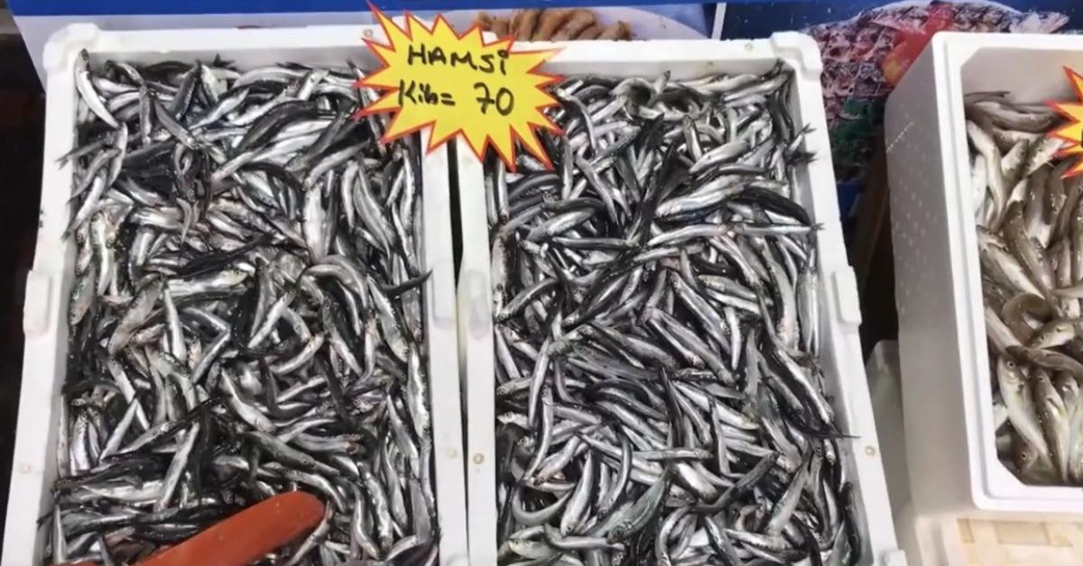 duzce akcakocada balik fiyatlari dusecek mi v46F5All.jpg