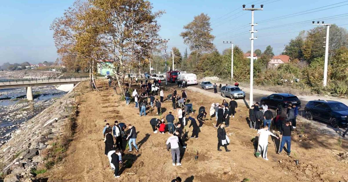 duzce beykoyde gelecege nefes olacak fidanlar toprakla bulustu PPDHC94Y.jpg