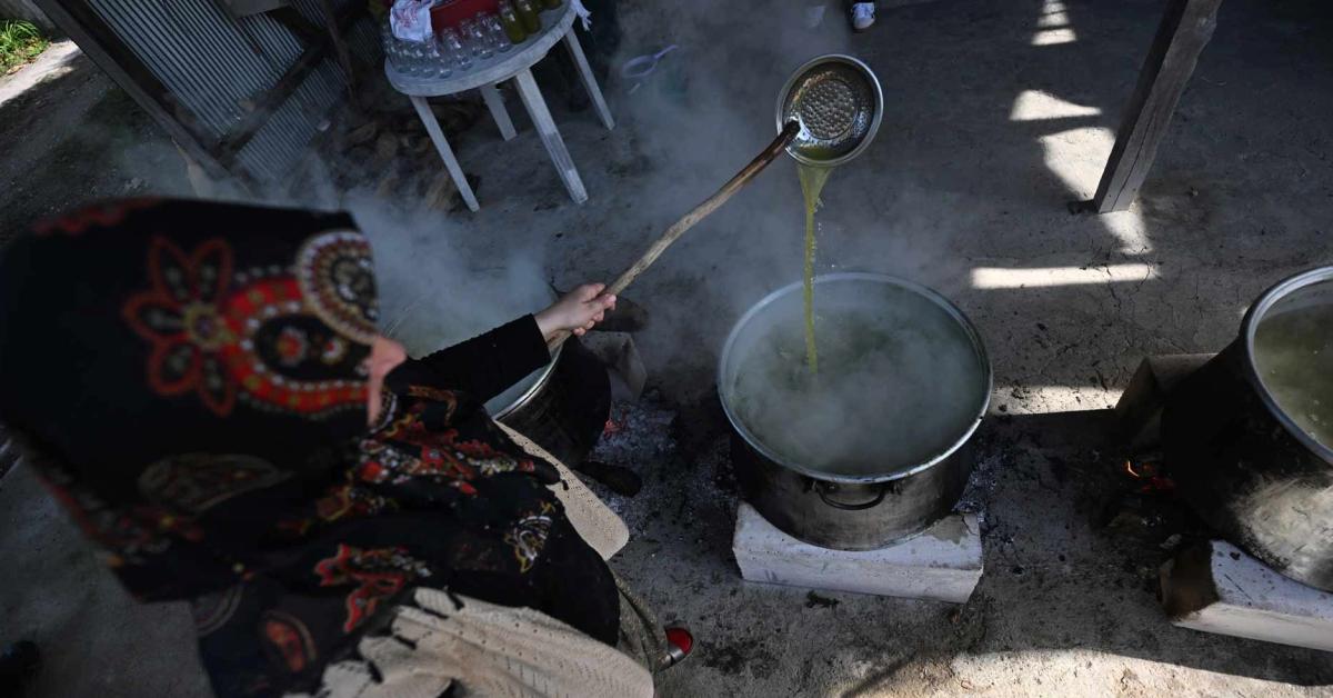 duzce cilimlide dogal pekmez ile basari hikayesi yaziyor pRdPA9ar.jpg