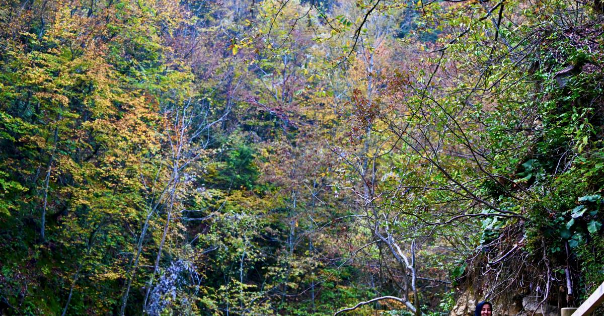 duzcede aktas selalesi buyuluyor t4TWE9J8.jpg