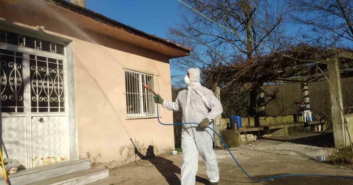 duzcede kahverengi kokarca tehdidi ile mucadele suruyor UGLwuY1c.jpg