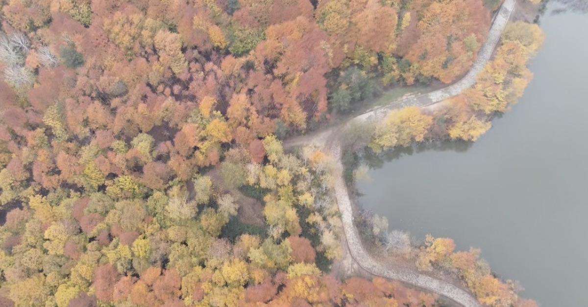 duzcede korugol tabiat parki turizme acildi hhce9G8Y.jpg