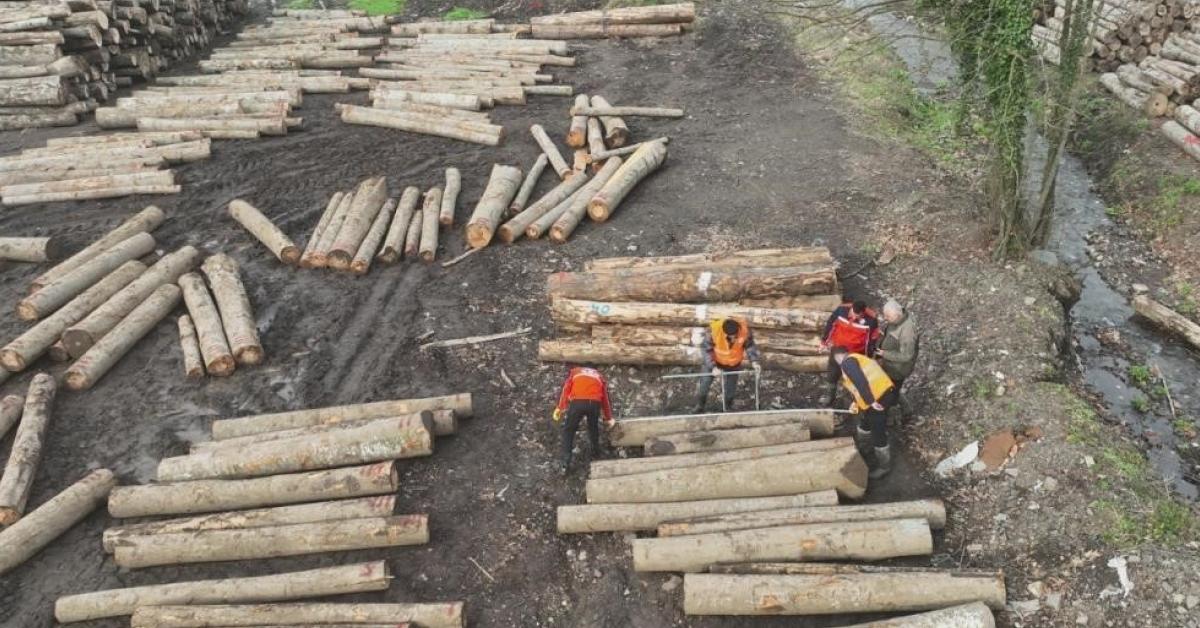 duzcede orman urunlerinde ihracat artti LH8c332a.jpg