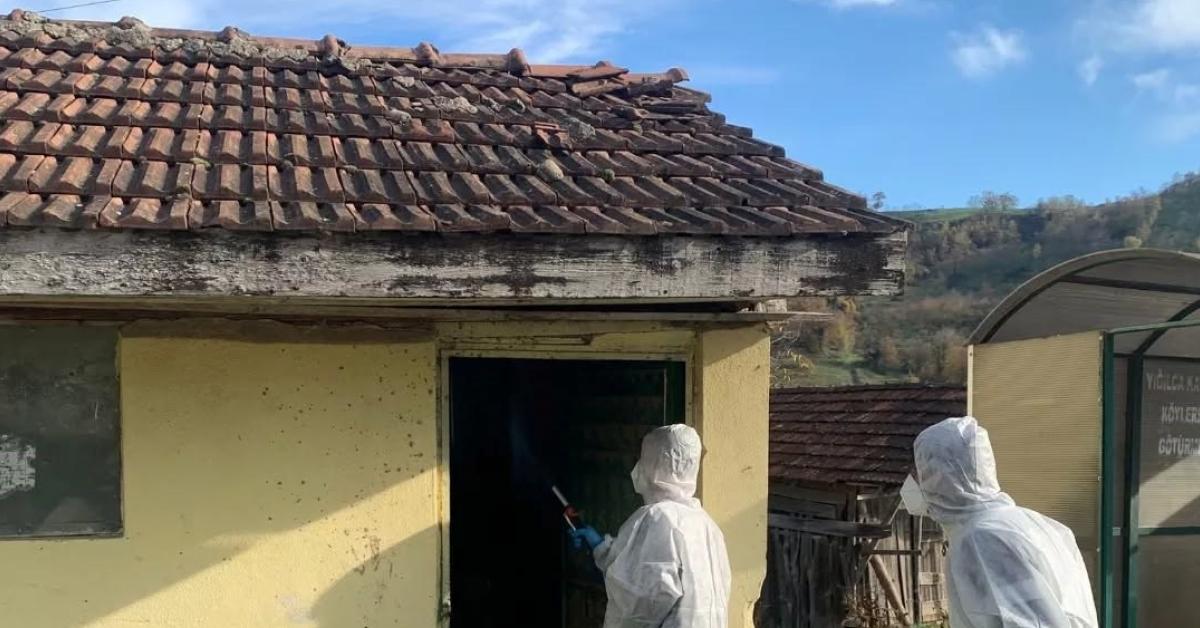 duzcenin korkulu ruyasi ile mucadele suruyor rfrawOW4.jpg