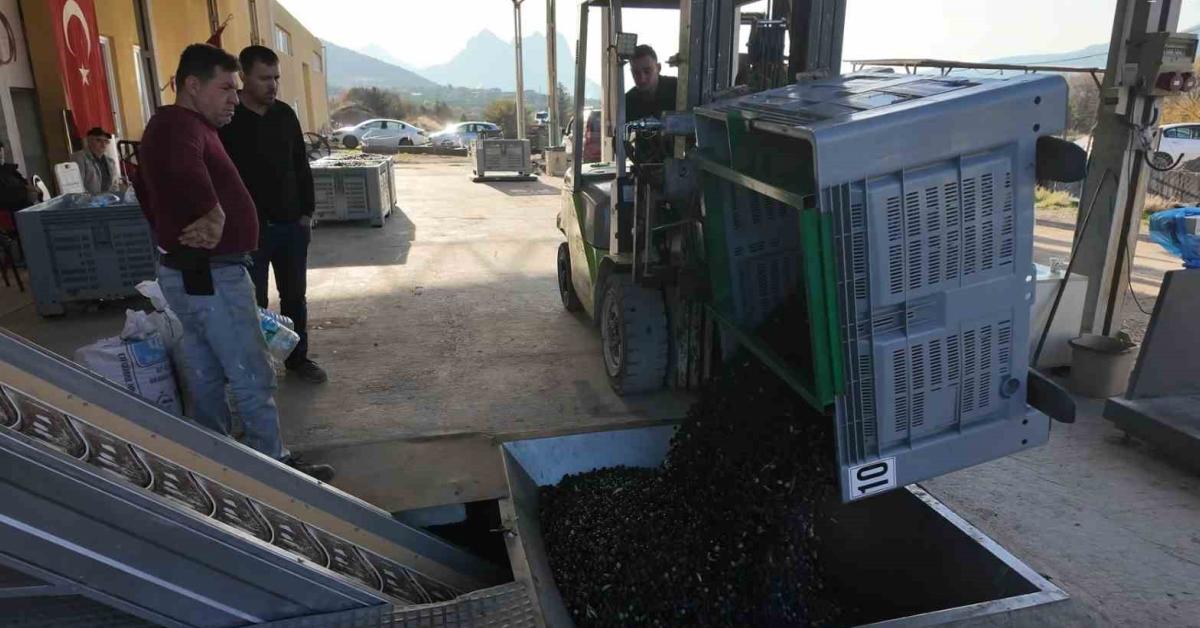 eskisehir saricakayada essiz zeytinyagi uretimi YvebHGRf.jpg