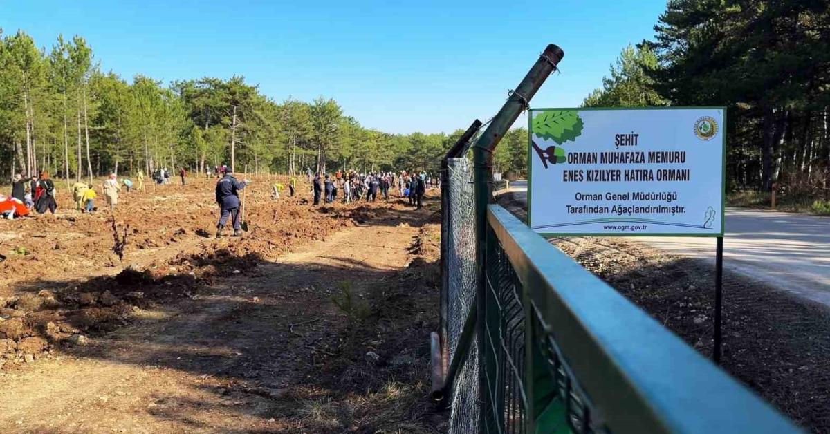 karabukte sehit orman iscisi icin anma etkinligi duzenlendi LZARLtHp.jpg