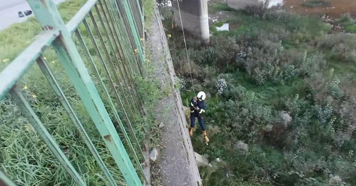 karabukte yavru kedi kurtarma operasyonu ThH7xDez.jpg