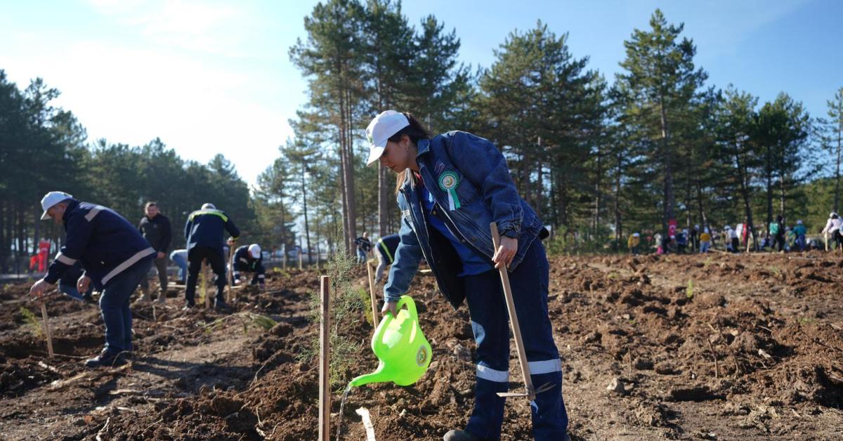 karabukte yesil vatan seferberligi SkzCw235.jpg