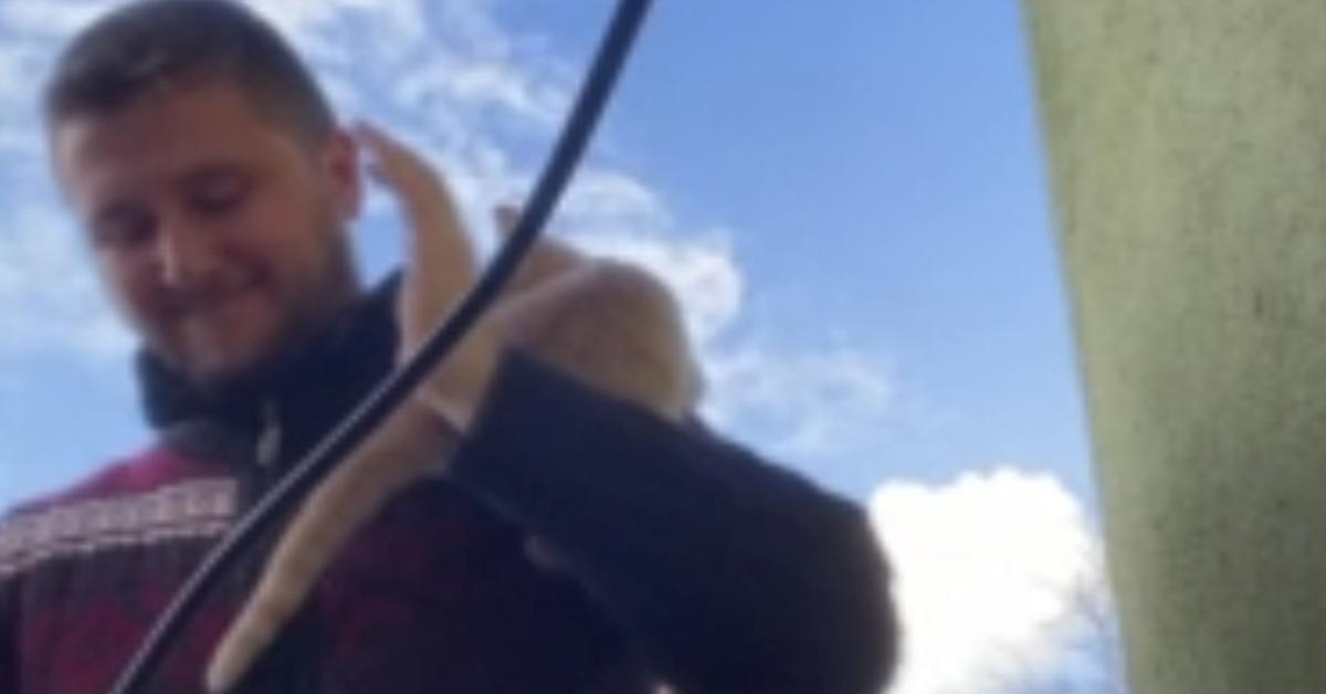 kastamonuda ezan okuyan imamin ustune tirmanan kedi buyuk ilgi gordu j2LvPamK.jpg