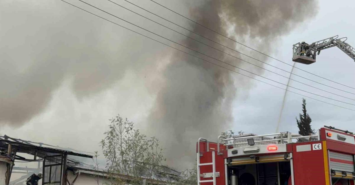 kocaeli cayirovada uretim tesisinde yangin cikti iej9zqzz.jpg