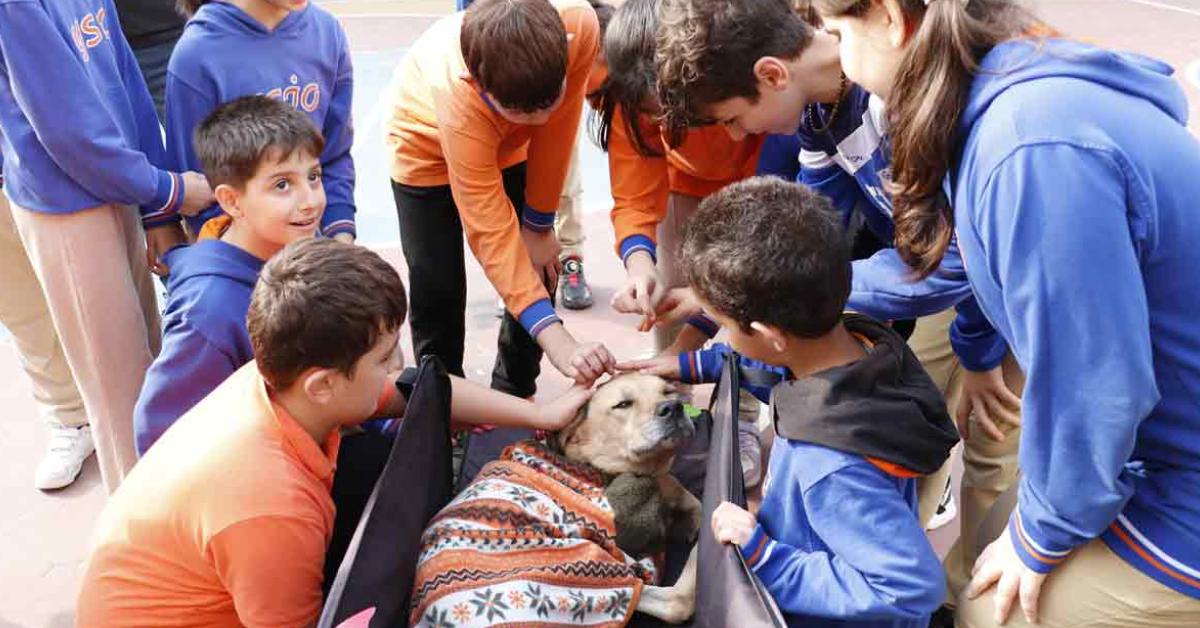 kocaelide cocuklar kivrik ile merhameti ogreniyor mfhrrn88.jpg