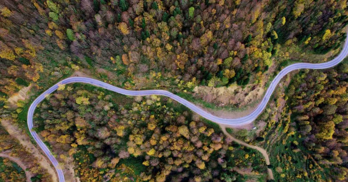 sakarya cam daginda sonbahar renkleri buyuluyor x8UbdD7q.jpg