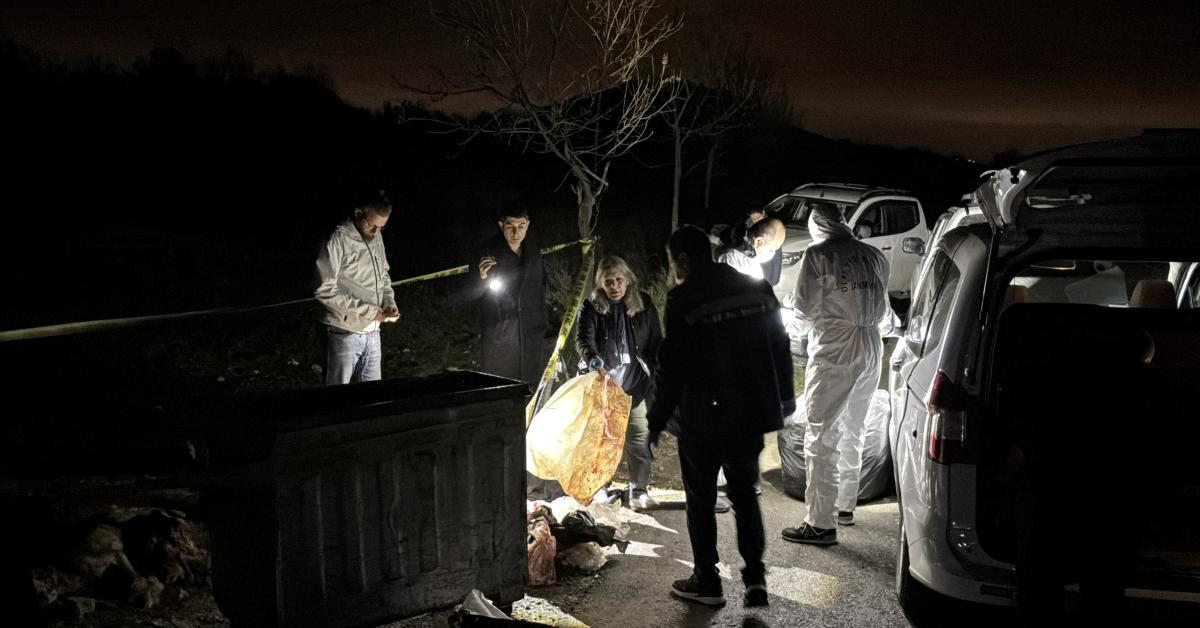 samsunda gizemli hayvan olumu 9 kopek cop kutusunda bulundu xrTHKWuV.jpg