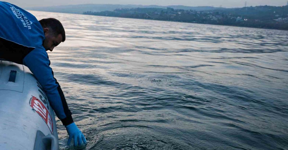 sapanca golundeki su kabarciklari neden oluyor a3OrjBQN.jpg