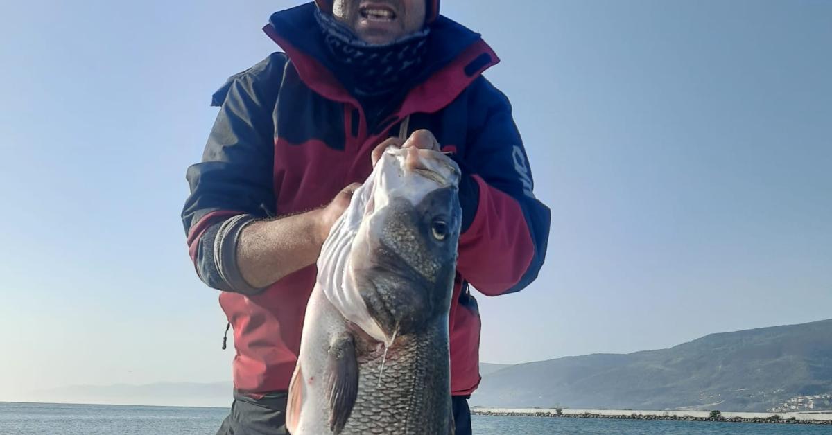 sinopta amator balikci 10 kilogramlik dev levrek yakaladi AzPSkT6L.jpg