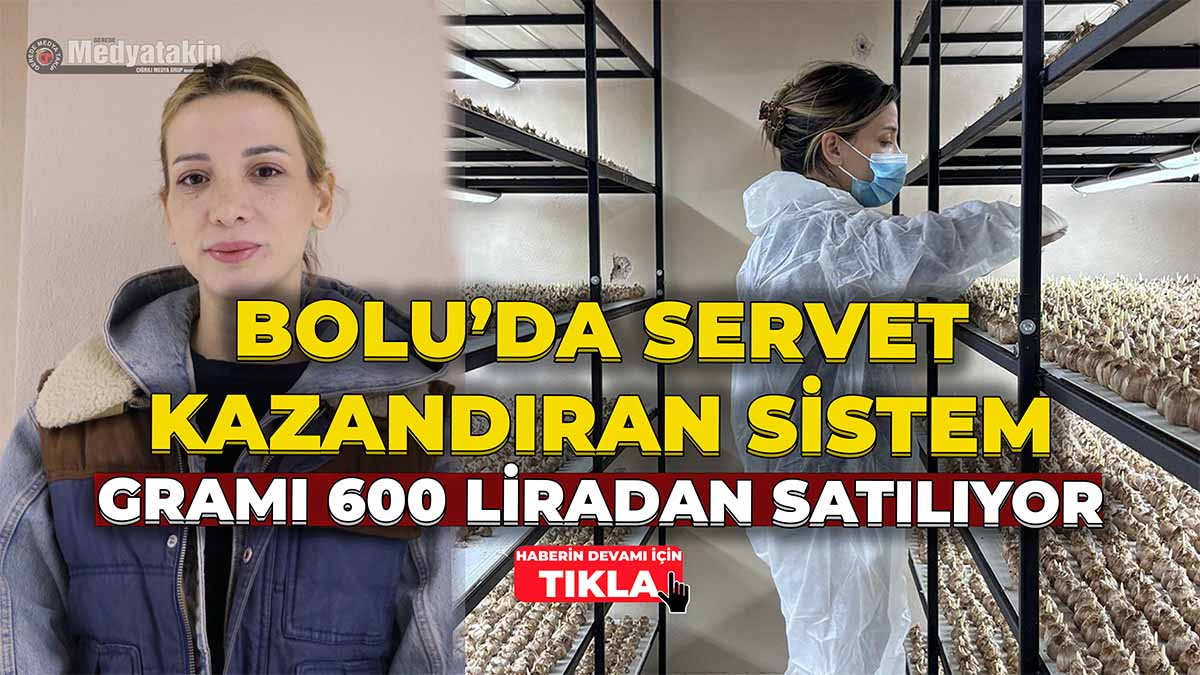 Bolu’da Servet Kazandıran Sistem