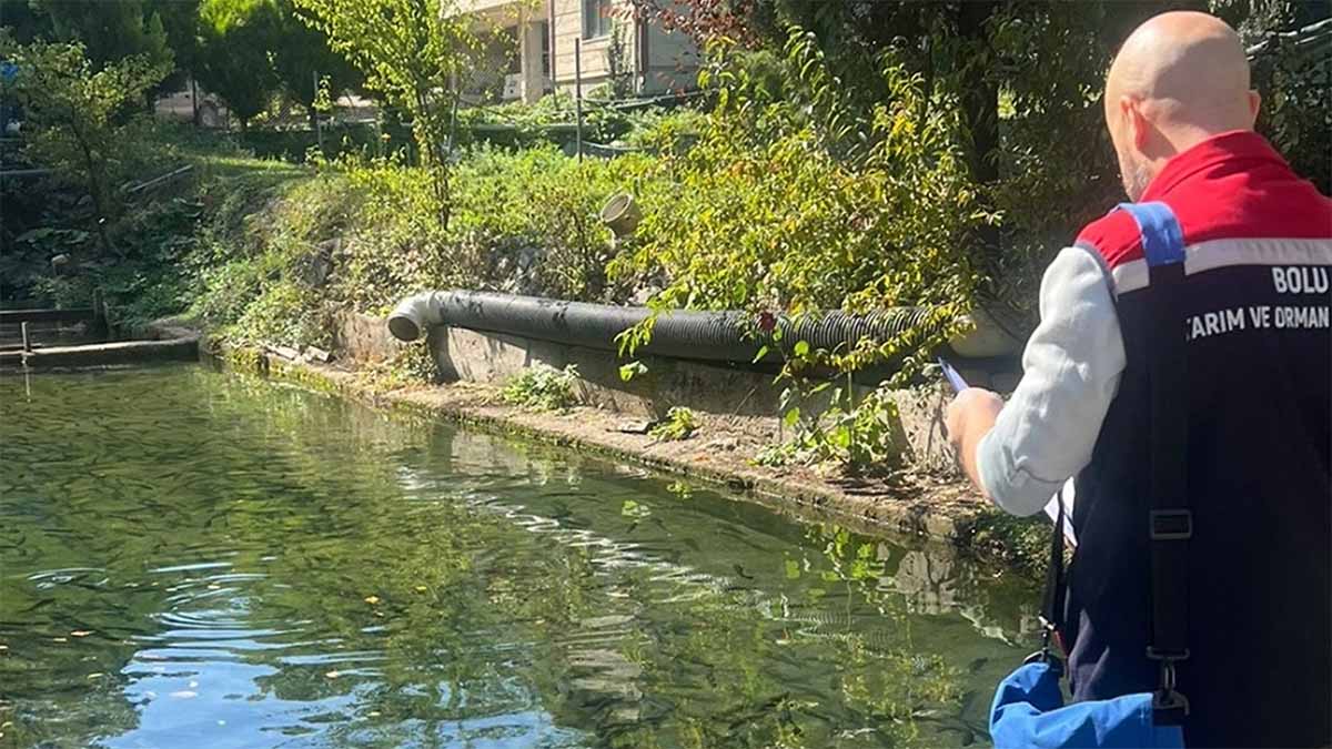 Bolu’da Yavru Balık Üretimi Denetlendi