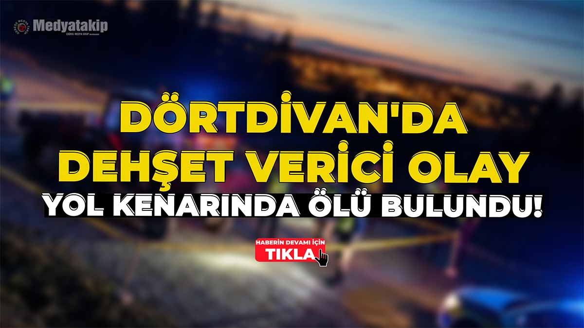 Dörtdivan'da Dehşet Verici Olay