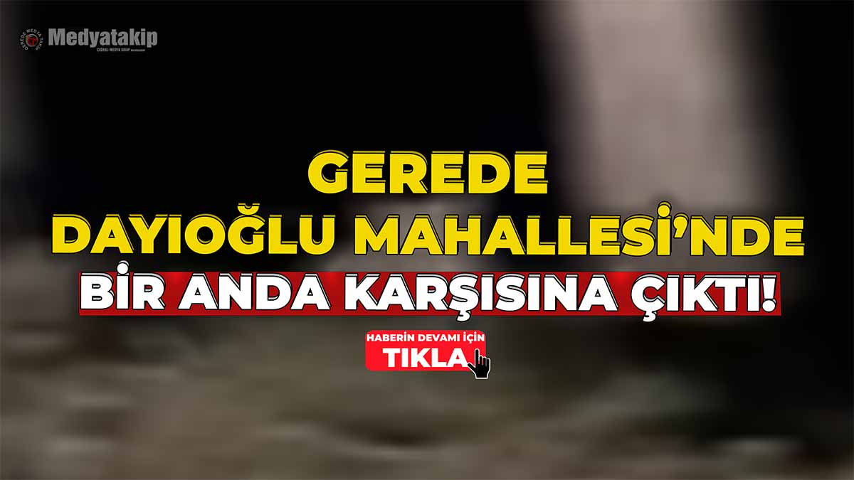 Gerede Dayıoğlu Mahallesi'nde Bir Anda Karşısına Çıktı!33