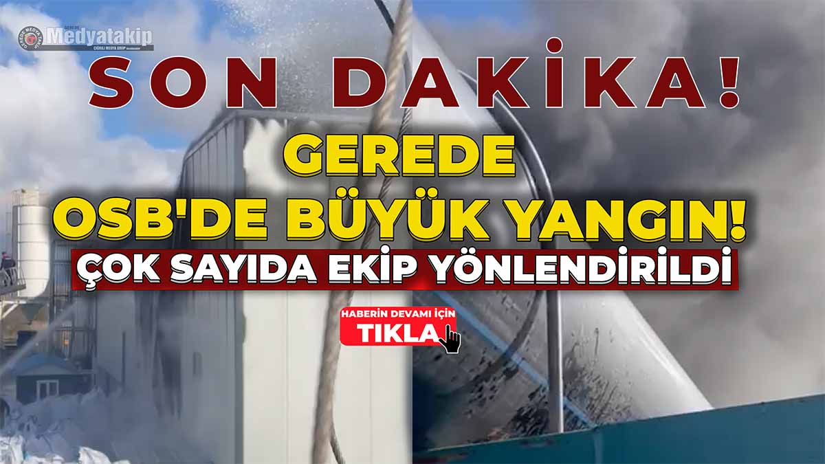 Gerede OSB'de Büyük Yangın