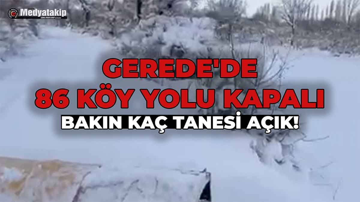 Gerede'de 86 Köy Yolu Kapalı