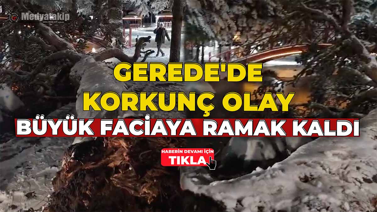 Gerede'de Korkunç Olay Büyük Faciaya Ramak Kaldı