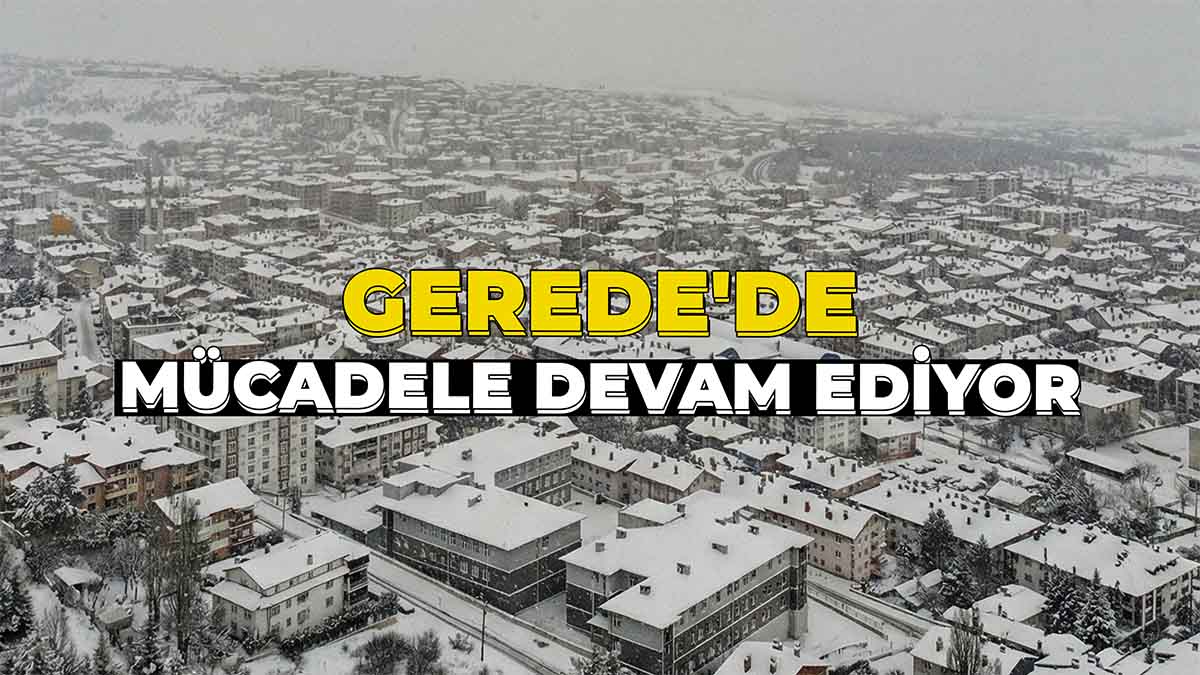Gerede'de Mücadele Devam Ediyor