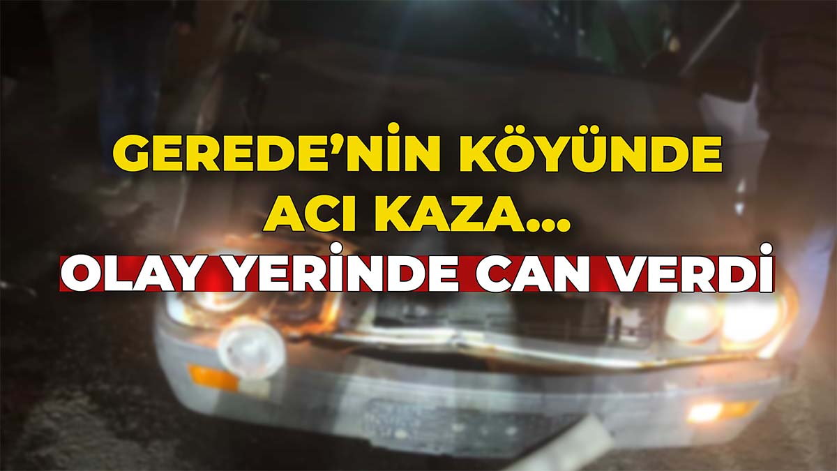 Gerede'nin Köyünde Acı Kaza4